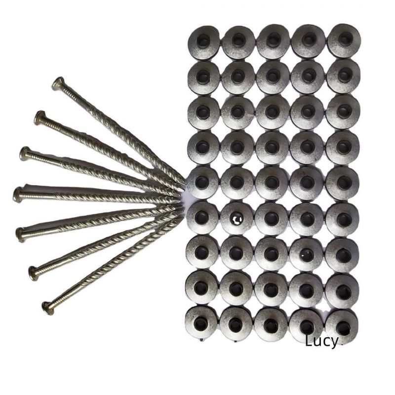South Africa 65mm Roofing Screw with EVA Washer