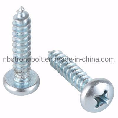 Phillip Pan Head Self Tapping Screw