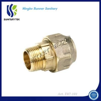 Male Coupler Brass Compression Fitting for PE Pipe (F07-101)