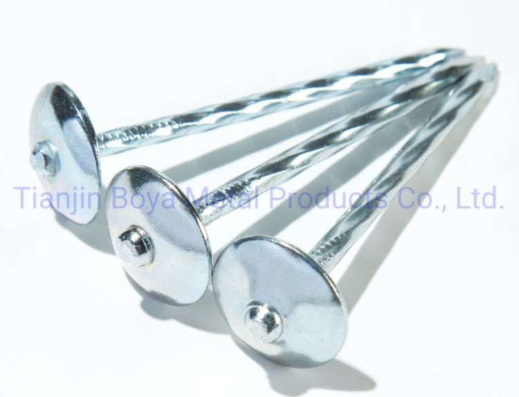 Good Quality Galvanized Umbrealla Head Roofing Nail