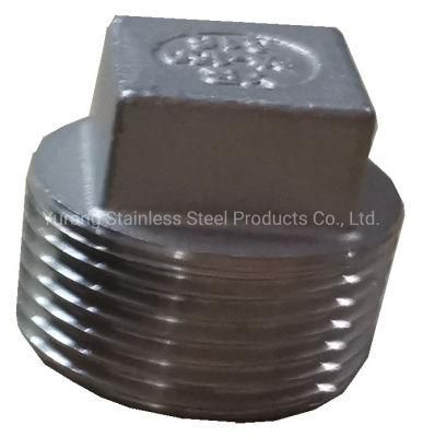 Stainless Steel 304/316 Pipe Fittings Male Fitting Square Head Plug