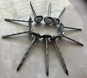 Factory Supply Electro Galvanized Roofing Nails