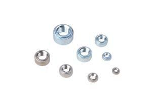 Blind Rivet Nuts with High Quality (CZ329)