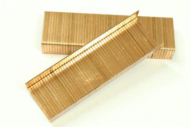 (3522) Copper Carton Close Staples for Packaging
