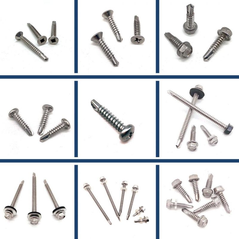 Hot Sales Stainless Steel 304 Screw of Pan Head Washer Cutting and Flat Tail Self Tapping Screw
