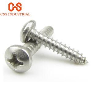 Carbon Steel Black Zinc Plated Pan Head Self Tapping Screwing Screws ISO7049