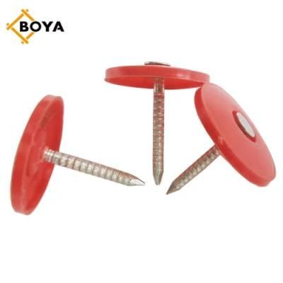 Colorful Cap Nails/Plastic Cap Nails Factory