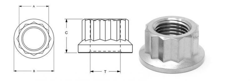 Polishing Black Oxide Stainless Steel/Black Carbon Steel 12 Angle Flange Nuts, 12 Point Flange Nut