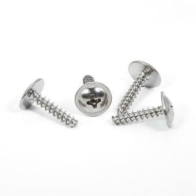Cheap Price 18-8 Stainless Steel Philips Pan Head Thread Forming Screw for Plastic Plastite Screws