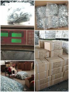 Umbrella Head Nails Galvanized Roofing Nails1kg/Bag