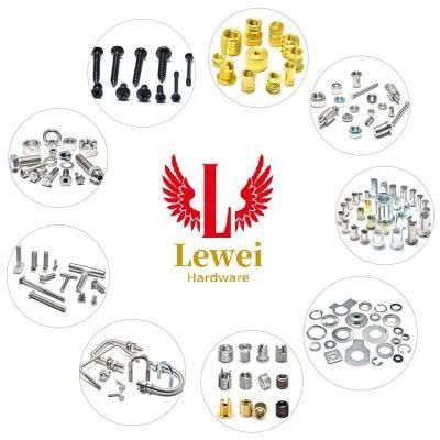 China Supplier Non Standard Fastener Special Nuts and Bolts