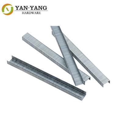 22 Ga Stainless Steel Staple Furniture Nail 1007f