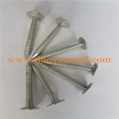 China Hot Sale Ring Shank Round Metal Cap Nails