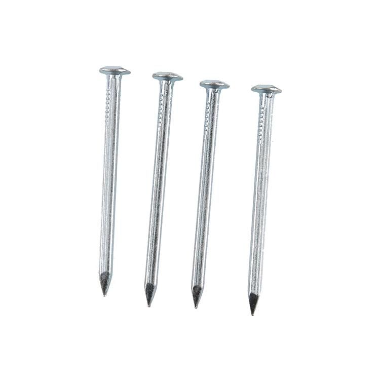 Vietnam Philippines Singapore Market/Durable Using Boat Nails Copper Nail for Boat Galvanised Boat Nails