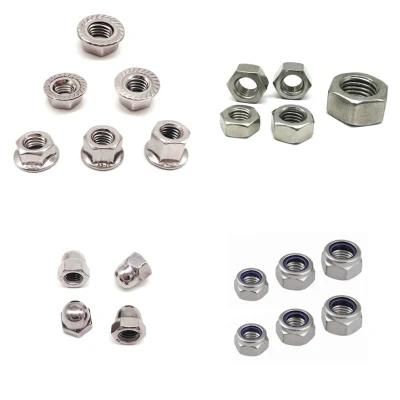 DIN/GB/ASTM Stainless Steel Hex Nut/Lock Nut/Flange Nut/Cap Nut