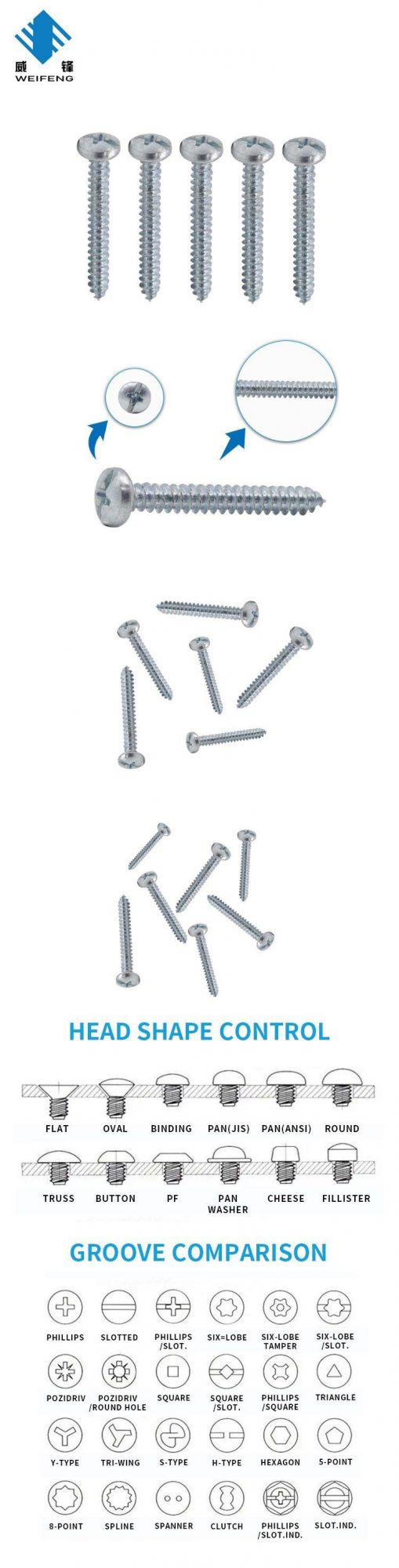 Bulk Packing Zinc Plated Pan Slotted & Phillips Self Tapping Screw