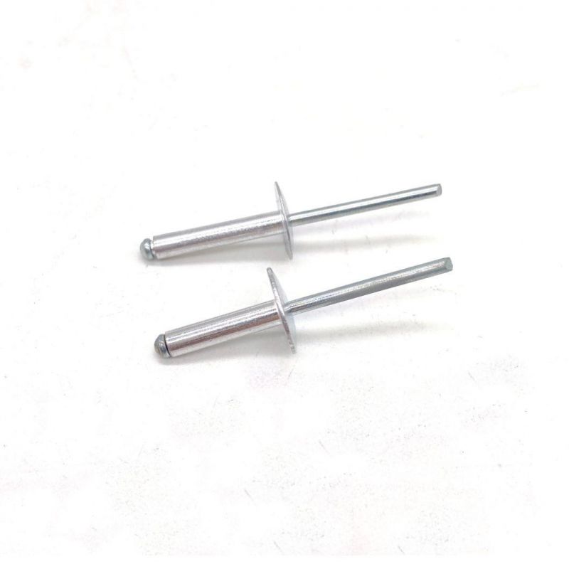 Stainless Steel 304 316 Aluminum Dome Head Flat Head SS304 SS316 Solid Blind Rivet Nut