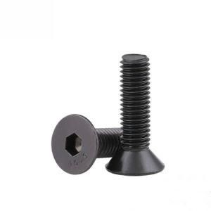 China Customized Csk Bolt