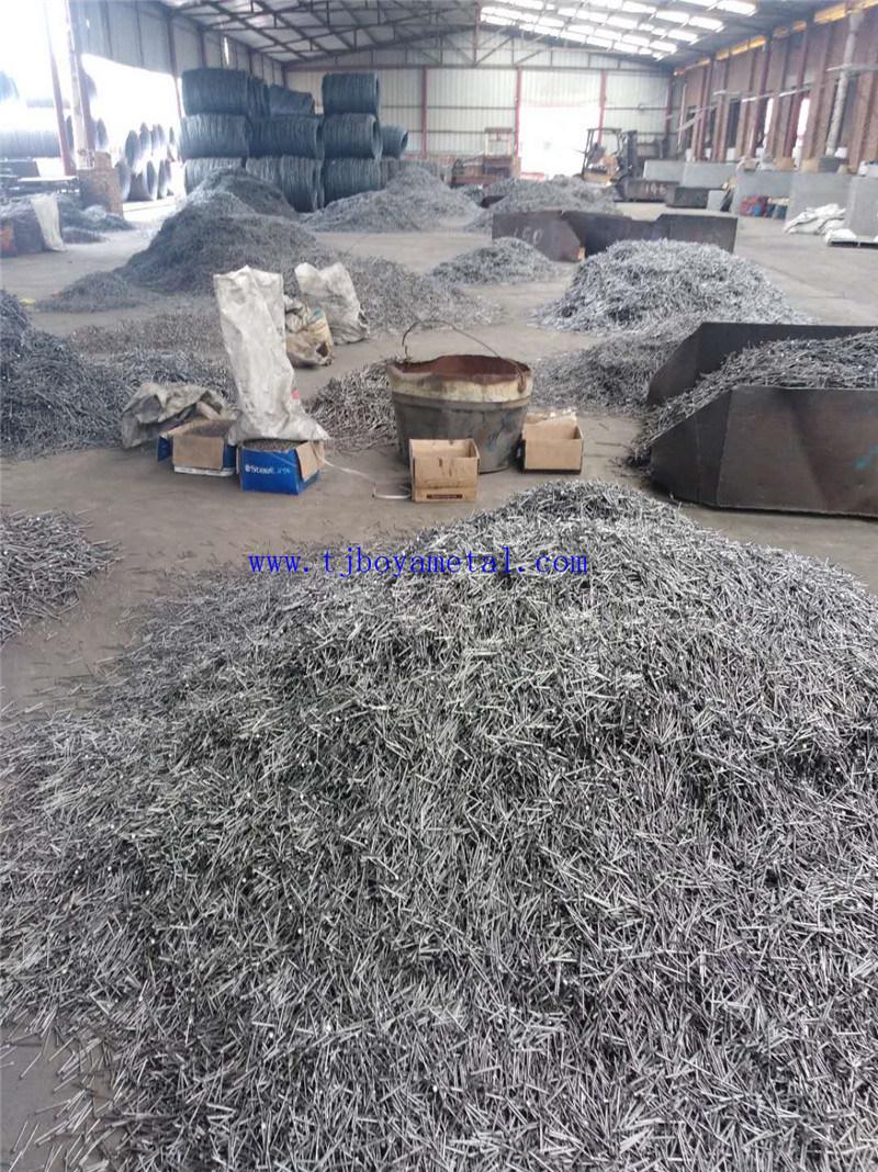 Flat Head Polished Common Round Wire Galvanized Common Iron Nails for Construction