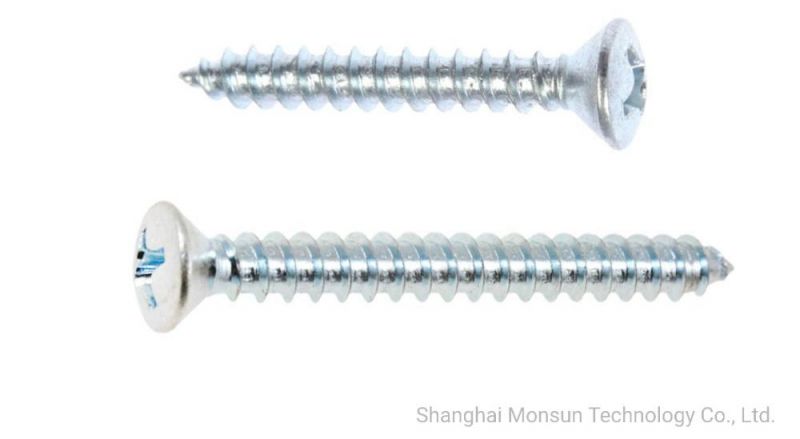 Raised Countersunk Head C1022 #2pH Self Tapping Screws