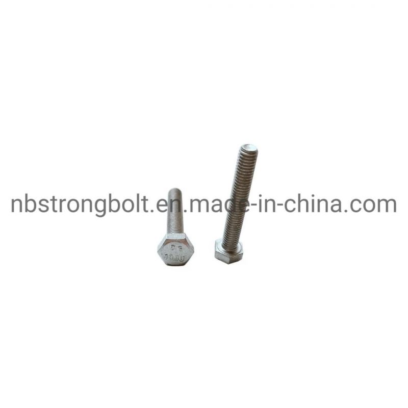 Hex Bolt DIN933 Cl. 8.8 with HDG