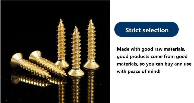 High Quality Brass Material Self Tapping Screw with Csk Head DIN7982