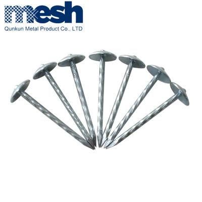 Wholesales Galvanized Roofing Nails with Rubber