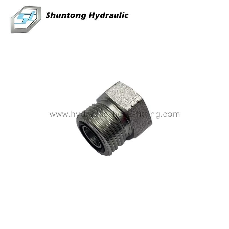 Orfs Male O-Ring Plug Hydraulic Hose Fitting, Hydraulic Adaptor, Hose Nipple
