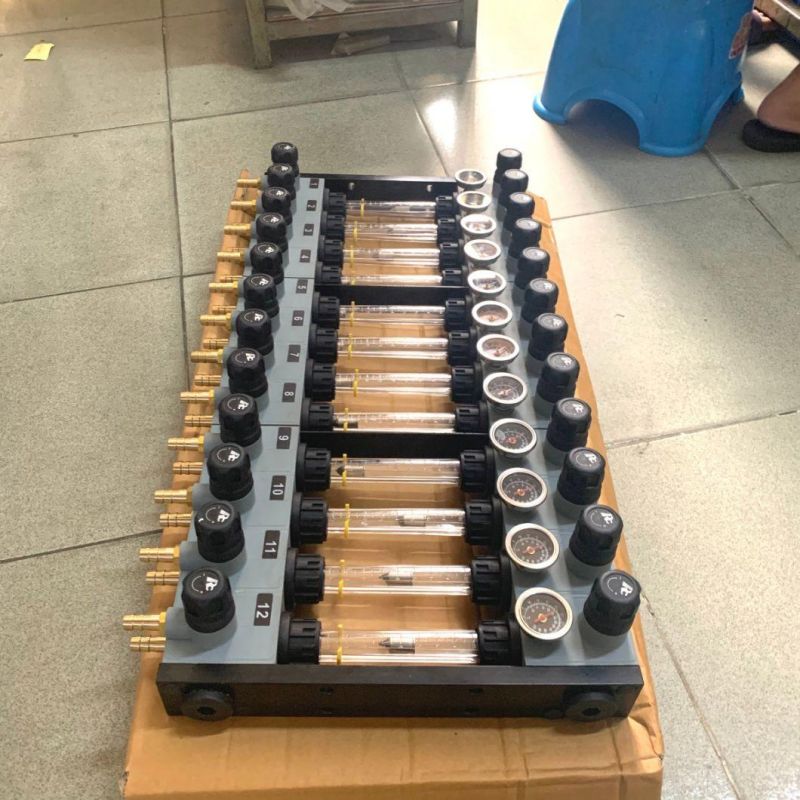 12 in and 12 out /12 Port Plastic Injection Water Manifold Mold