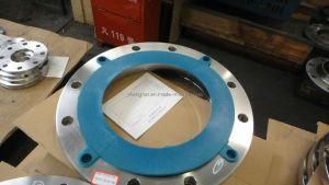 Forged Flange Plate (PL) Stainless Steel Flange