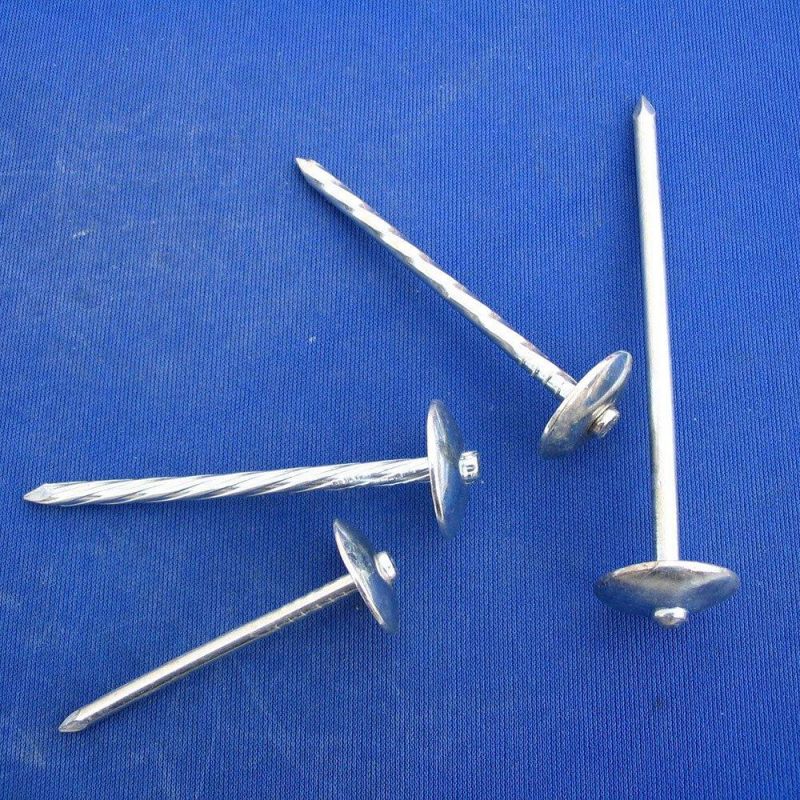 Steel Galvanized Construction Wire Umbrella Head Nails Concrete Nails