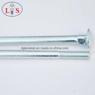 Ss 304 Stainless Steel Carriage or Square Neck Bolt