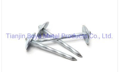 Hot Sale Umbrella Head Twisted Shank Roofing Nail Roofing Nail with Washers