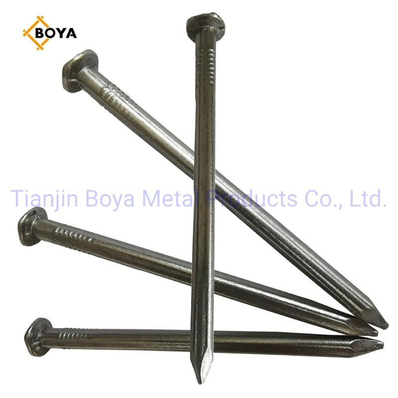 Polished Galvanized Common Iron Nail for Construction
