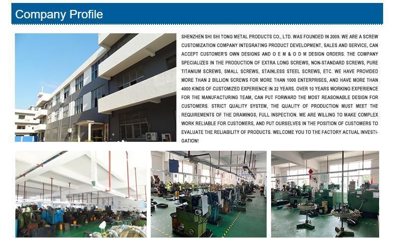 Customized Stainless Steel Square Half Thread Machine Special Head Screw