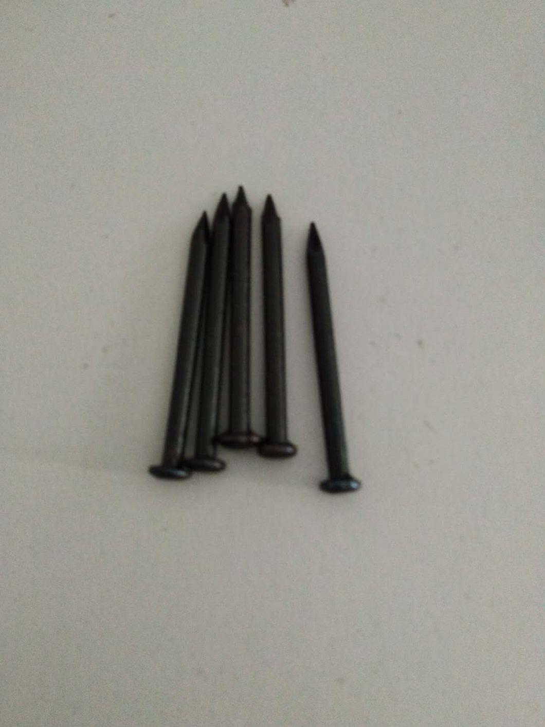 Black Steel Nail Concrete Nail with Boilling Black Directly Factory