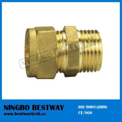 Brass Male and Female Pipe Fitting (BW-503)