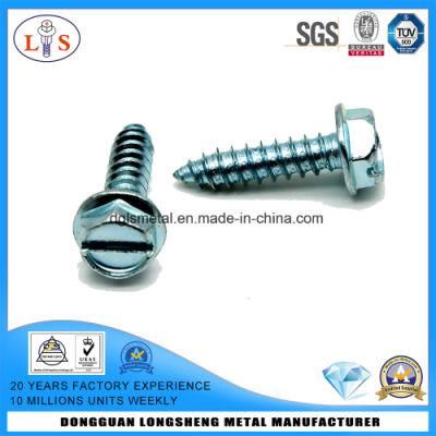 Slotted Screw with High Quality