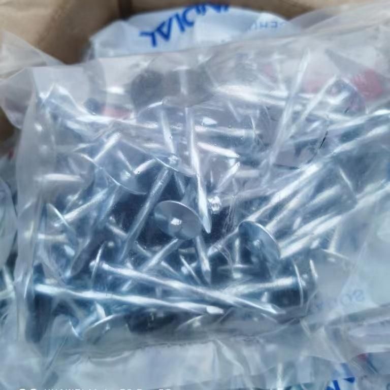 Hot DIP Galvanized Twist Shank Umbrella Head Roofing Nails High Quality