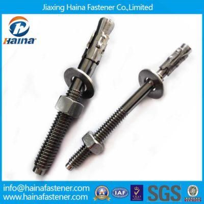 Stainless Steel 304/316 Wedge Anchor / Through Bolt