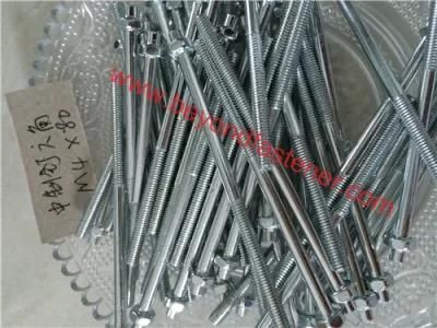 Screw/Bolts/Fastener/Hex Bolt Special Bolts Specail Screw
