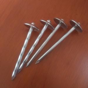 Linyi Factory Bwg9 X 2.5&quot; Galvanized Umbrella Head Twist Smooth Shank Roofing Nail