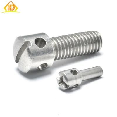 Stainless Steel Slotted Capstan Special Screws