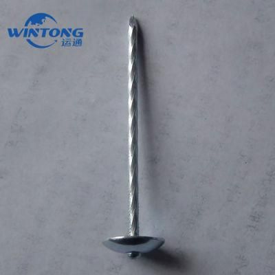 Hardware Roofing Nail /Galvanized Roofing Nail