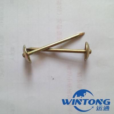 Galvanized Umbrella Head Roofing Nails/Twist Shank Roofing Nails From China Factory