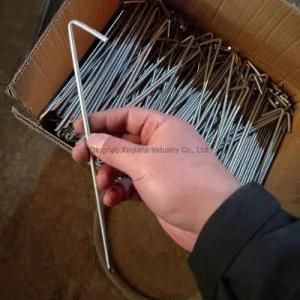 Wholesale 9 Inch Galvanized Steel Anti-Rust Tent Pegs for Camping