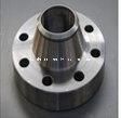 DIN2576-DIN11850 Stainless Steel &amp; Carbon Steel Forged Weld Neck Flange Dn10-Dn150