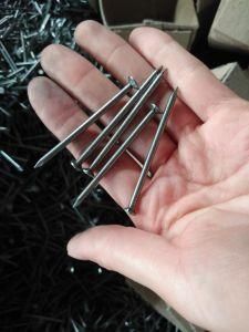 Clavo, Clavos, Nail, Nails, Common Nail