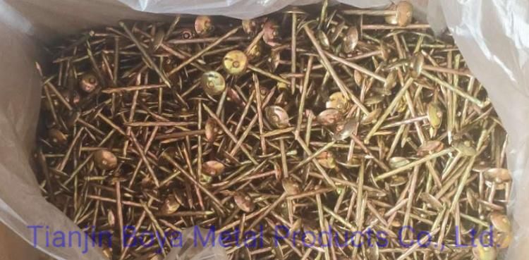 Best Quality Common Nails/Galvanized Nail/Building Nail/Hardware Iron Nail