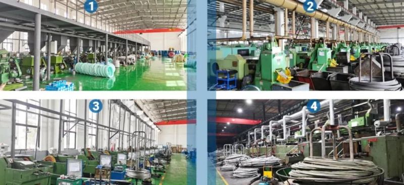 Stainless Steel 304 Hex Bolt /A2 Carriage Bolt/Stud Bolt /Flange Bolt/T Head Bolt (DIN933 DIN603 DIN976 DIN6921)
